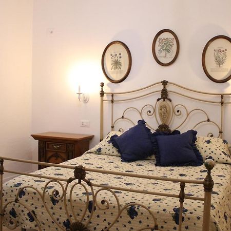 "Per Mik" Cottage In Vineyard Shkodër Extérieur photo