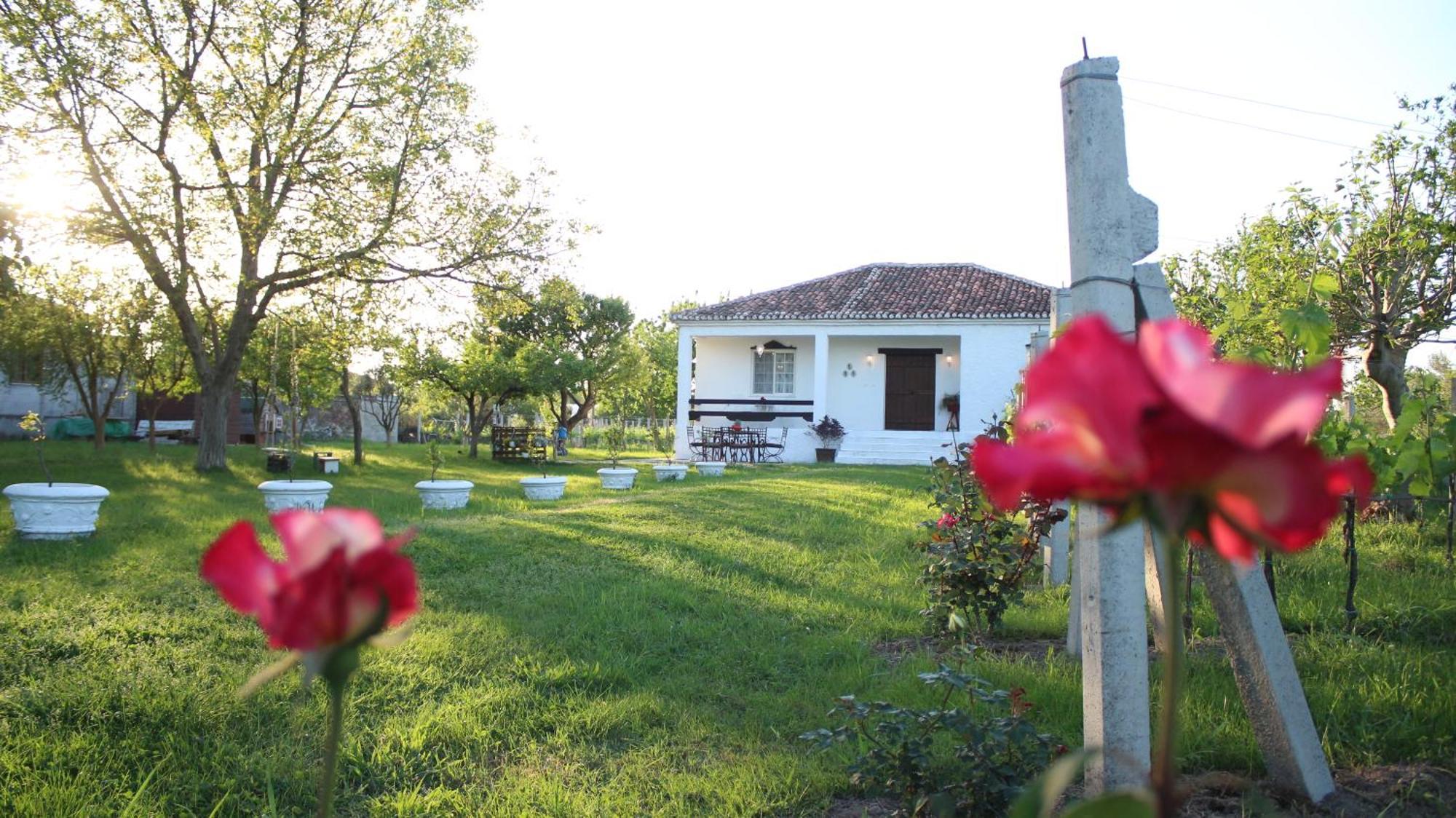 "Per Mik" Cottage In Vineyard Shkodër Extérieur photo