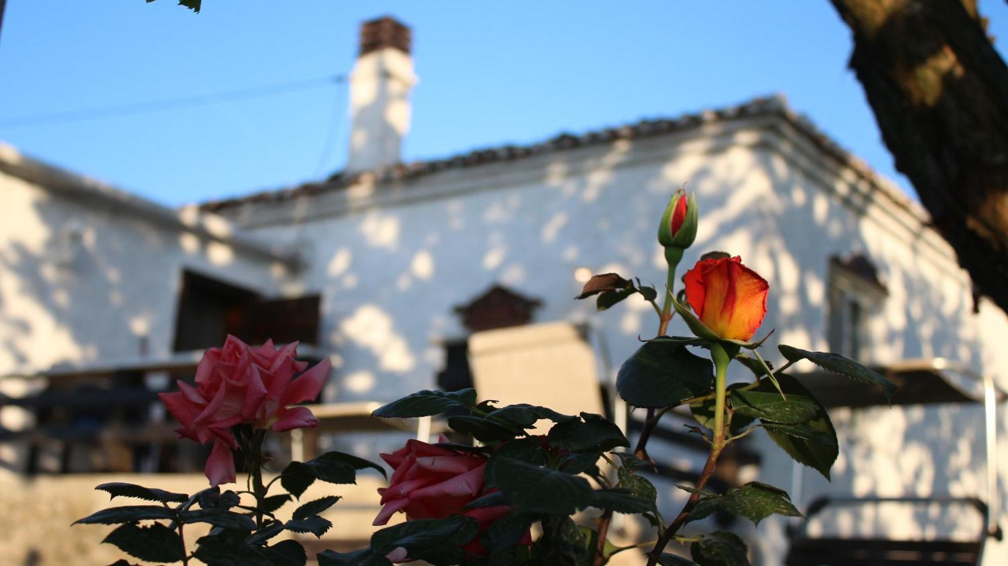 "Per Mik" Cottage In Vineyard Shkodër Extérieur photo