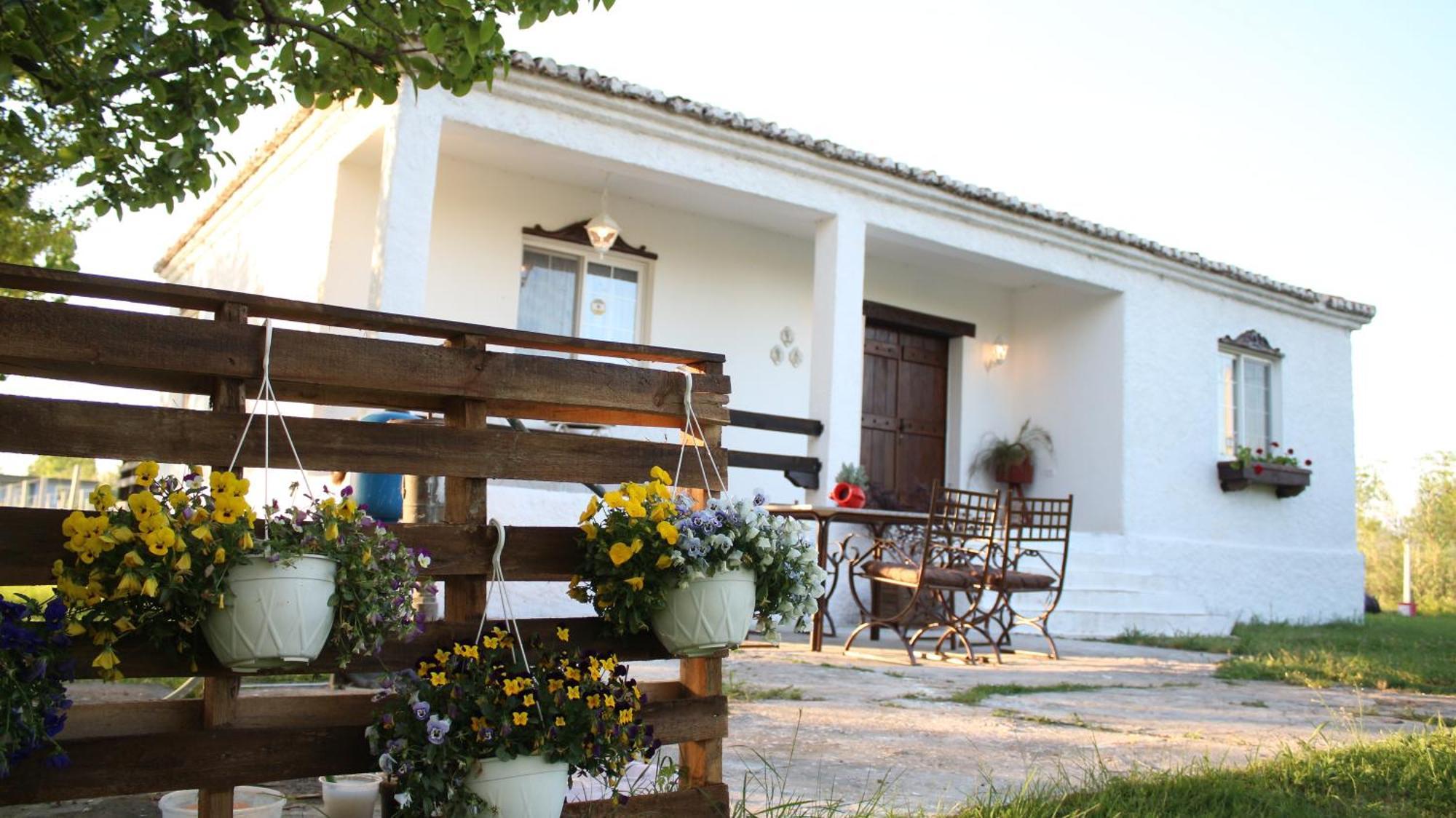 "Per Mik" Cottage In Vineyard Shkodër Extérieur photo