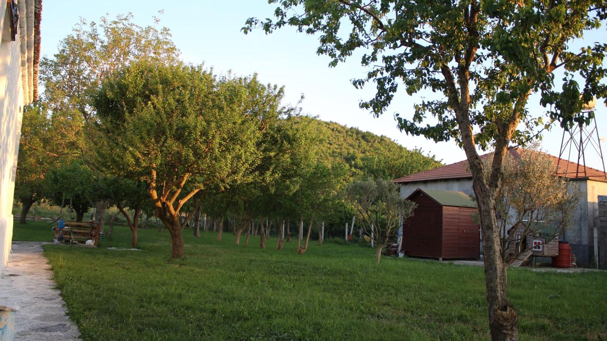 "Per Mik" Cottage In Vineyard Shkodër Extérieur photo
